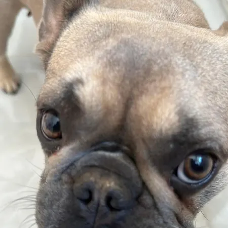 Appartement Gianicolo House